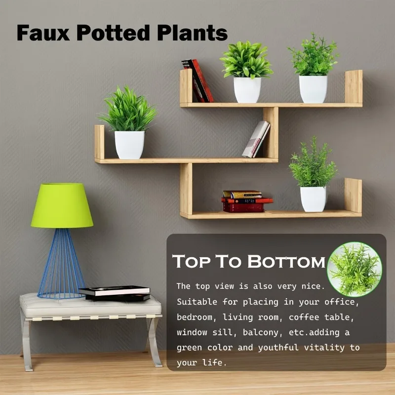 Mini plantes d'eucalyptus arti - Home Office Layout avis et prix