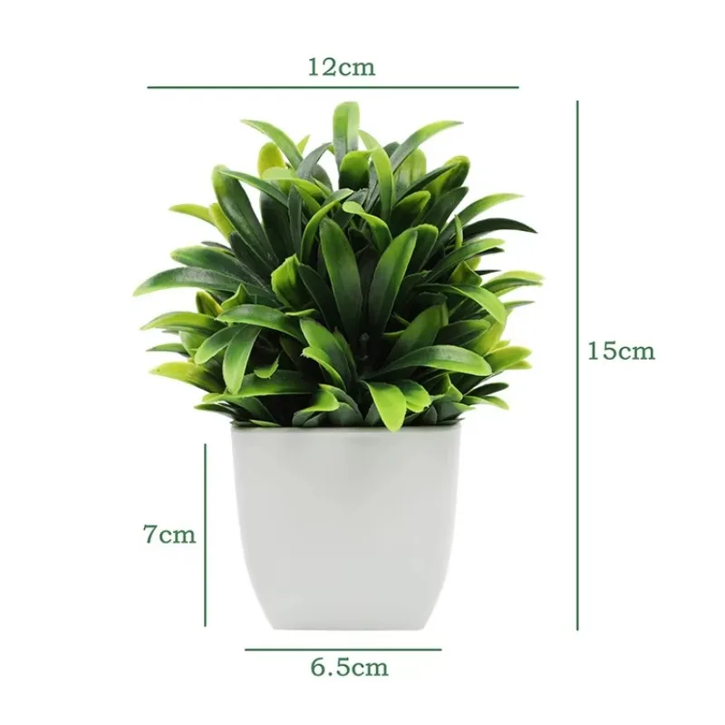 Mini plantes d'eucalyptus arti - Home Office Layout avis et prix