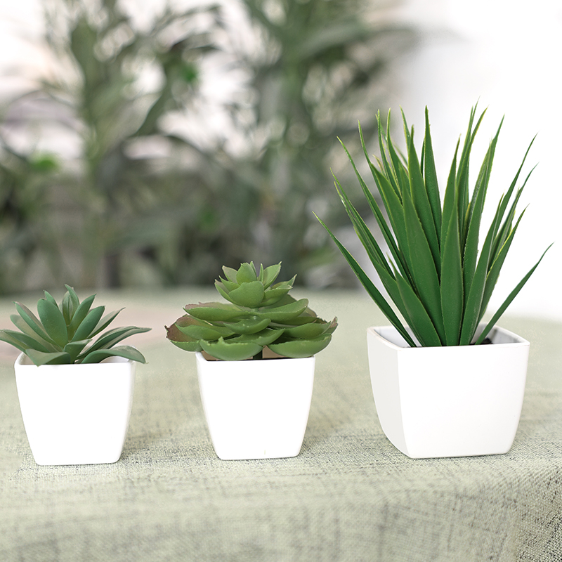 Bonsaï de plantes artificielle - Home Office Layout avis et prix