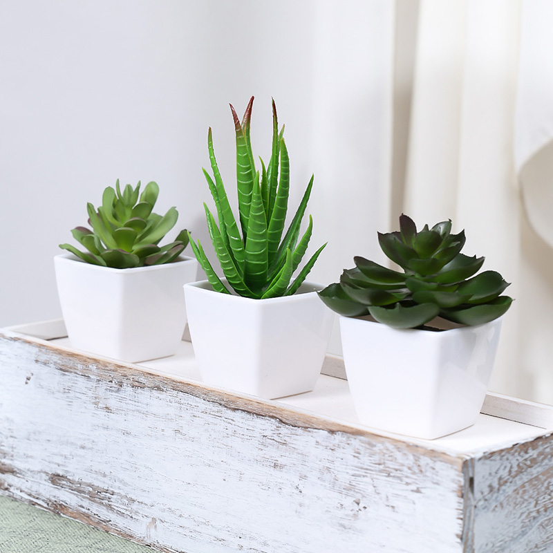 Bonsaï de plantes artificielle - Home Office Layout avis et prix
